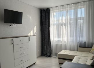 Сдается в аренду 1-комнатная квартира, 31 м2, Краснодарский край, Пионерский проспект, 100В