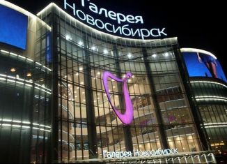 Сдается торговая площадь, 8 м2, Новосибирск, улица Гоголя, 13, метро Красный проспект