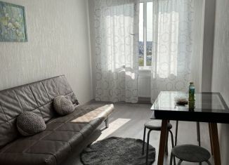 2-комнатная квартира в аренду, 40 м2, Пермь, Сапфирная улица, 15, Мотовилихинский район