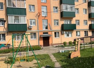 Сдается двухкомнатная квартира, 43.5 м2, поселок Орловка, Спортивная улица, 10