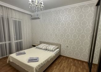 Однокомнатная квартира в аренду, 42 м2, Краснодарский край, Кабардинский переулок, 2