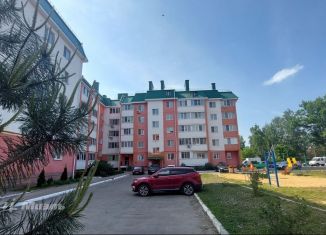 Продажа 1-комнатной квартиры, 41 м2, село Плещеево, Луговая улица, 4Б