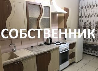 Продается 1-комнатная квартира, 42.2 м2, посёлок Знаменский, Первомайская улица, ЖК Первомайский