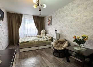 Продается 1-ком. квартира, 32 м2, Сосновоборск, улица Энтузиастов, 5