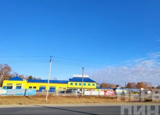 Сдаю в аренду торговую площадь, 300 м2, село Миасское, улица Кирова, 1