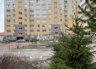 Двухкомнатная квартира на продажу, 61 м2, Ленинградская область, Колтушское шоссе, 19к2