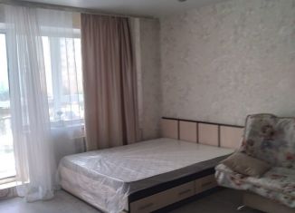 Квартира в аренду студия, 39 м2, Новосибирск, улица Виктора Шевелёва, 24