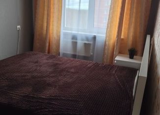 2-комнатная квартира в аренду, 45 м2, Новосибирск, Выборная улица, 106