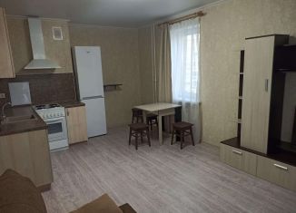 1-комнатная квартира в аренду, 40 м2, Новороссийск, улица Котанова, 1