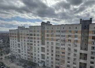 Двухкомнатная квартира на продажу, 52.5 м2, Нижний Новгород, Казанское шоссе, 4к1