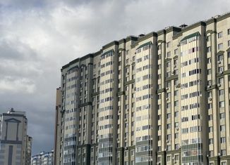 Аренда двухкомнатной квартиры, 56 м2, Домодедово, улица Курыжова, ЖК Новое Домодедово
