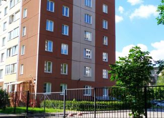 Сдается 1-комнатная квартира, 43 м2, Санкт-Петербург, улица Дыбенко, 21к3, метро Улица Дыбенко