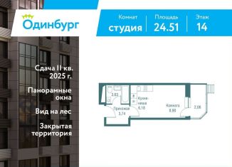 Продажа квартиры студии, 24.5 м2, Одинцово