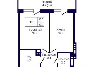 Продается 1-комнатная квартира, 43.2 м2, Новосибирск, метро Гагаринская, улица Ляпидевского, 5