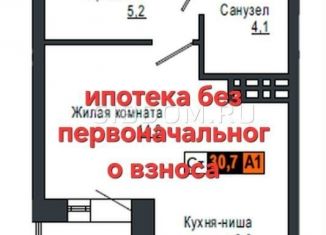 Продается однокомнатная квартира, 30.4 м2, Красноярск, Кировский район