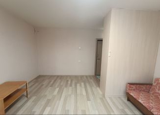 Продаю 1-комнатную квартиру, 344 м2, Пермский край, улица Гашкова, 26