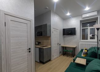 Сдается однокомнатная квартира, 35 м2, Санкт-Петербург, улица Жуковского, 6Б