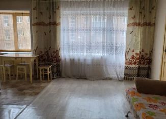 Продается 2-комнатная квартира, 43.2 м2, Красноярский край, улица Академика Вавилова, 102
