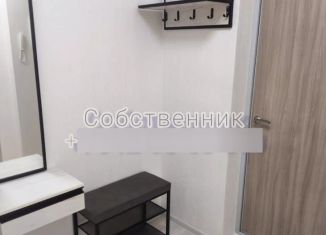 1-комнатная квартира в аренду, 38 м2, Екатеринбург, Монтёрская улица, 4, Чкаловский район