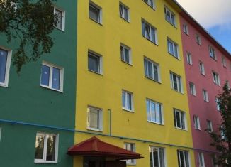 Сдается однокомнатная квартира, 30 м2, Мурманск, Молодёжная улица