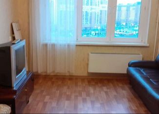 Сдается однокомнатная квартира, 33 м2, Санкт-Петербург, улица Маршала Казакова, 44к1, метро Ленинский проспект