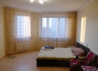 1-комнатная квартира в аренду, 42 м2, Московская область, Молодёжная улица