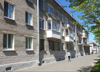 Продается однокомнатная квартира, 29.7 м2, Санкт-Петербург, улица Победы, 9