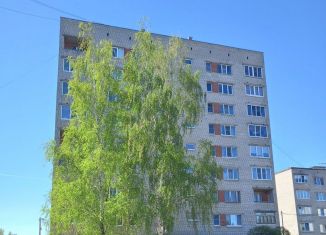 2-ком. квартира на продажу, 52.4 м2, Ленинградская область, Советская улица, 25