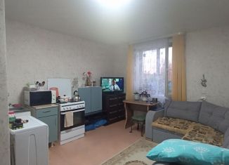 Дом на продажу, 24.1 м2, Ижевск, улица Халтурина, 135