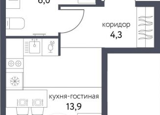 Продаю квартиру студию, 24.2 м2, Москва, ВАО, Тагильская улица, 4В