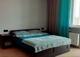 Аренда квартиры студии, 30 м2, Хабаровск, Краснореченская улица, 225