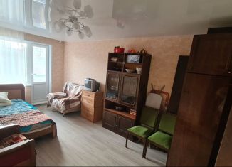 1-комнатная квартира в аренду, 30 м2, Мурманск, Зелёная улица, 56к1, Первомайский округ