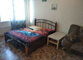 1-комнатная квартира в аренду, 45 м2, Красноярск, улица Республики, 37А