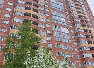 Продается однокомнатная квартира, 30 м2, Новосибирск, улица Михаила Кулагина, 35, метро Маршала Покрышкина