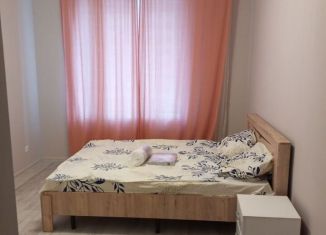 Аренда комнаты, 15 м2, Кудрово, Областная улица, 9к1