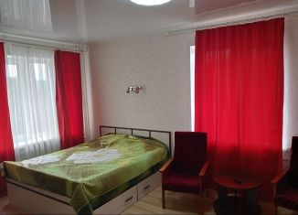 Аренда 1-комнатной квартиры, 30 м2, Новгородская область, Чудинцева улица, 7