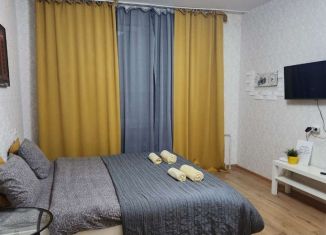Сдается в аренду 1-комнатная квартира, 33 м2, Нижний Новгород, Бурнаковская улица