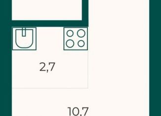 Продам квартиру студию, 25.4 м2, Екатеринбург, Отрадная улица, 1, метро Геологическая