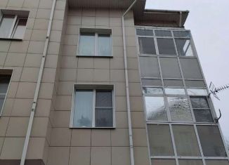 Продается 2-комнатная квартира, 40 м2, городской посёлок Дубровка, Школьная улица, 23