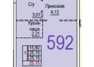 Продается квартира студия, 26 м2, деревня Глухово, Романовская улица, 17