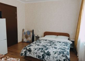 Квартира в аренду студия, 22 м2, Санкт-Петербург, улица Глеба Успенского, 5