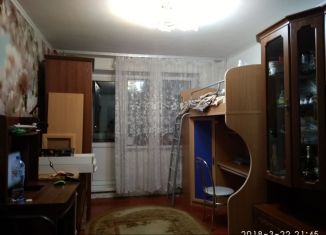 1-комнатная квартира в аренду, 31 м2, Московская область, 2-й микрорайон, 24