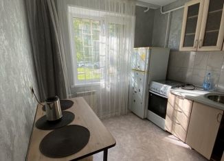 1-комнатная квартира в аренду, 33 м2, Челябинская область, улица 50-летия ВЛКСМ, 17Б