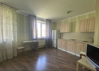 Квартира в аренду студия, 29 м2, Санкт-Петербург, улица Шкапина, 13, ЖК Панорама 360