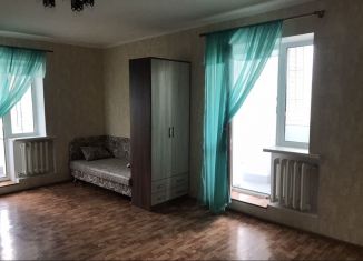Аренда двухкомнатной квартиры, 70 м2, Саратовская область, 13-й Шелковичный проезд, 20