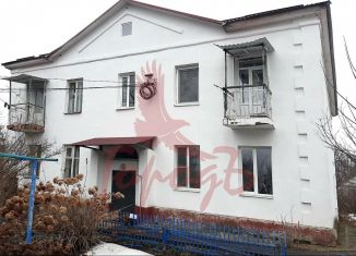 Продажа трехкомнатной квартиры, 55 м2, Орловская область, деревня Черкасская, 96