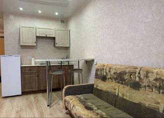 Квартира в аренду студия, 22 м2, Кировская область, Современная улица, 2