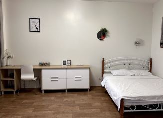 Квартира в аренду студия, 46 м2, Новосибирск, улица Галущака, 17, метро Гагаринская