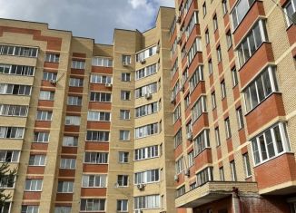 Сдается 1-ком. квартира, 45 м2, Фрязино, улица Дудкина, 9