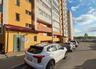 Продажа 1-комнатной квартиры, 42 м2, деревня Новосельцы, Юбилейная улица, 11